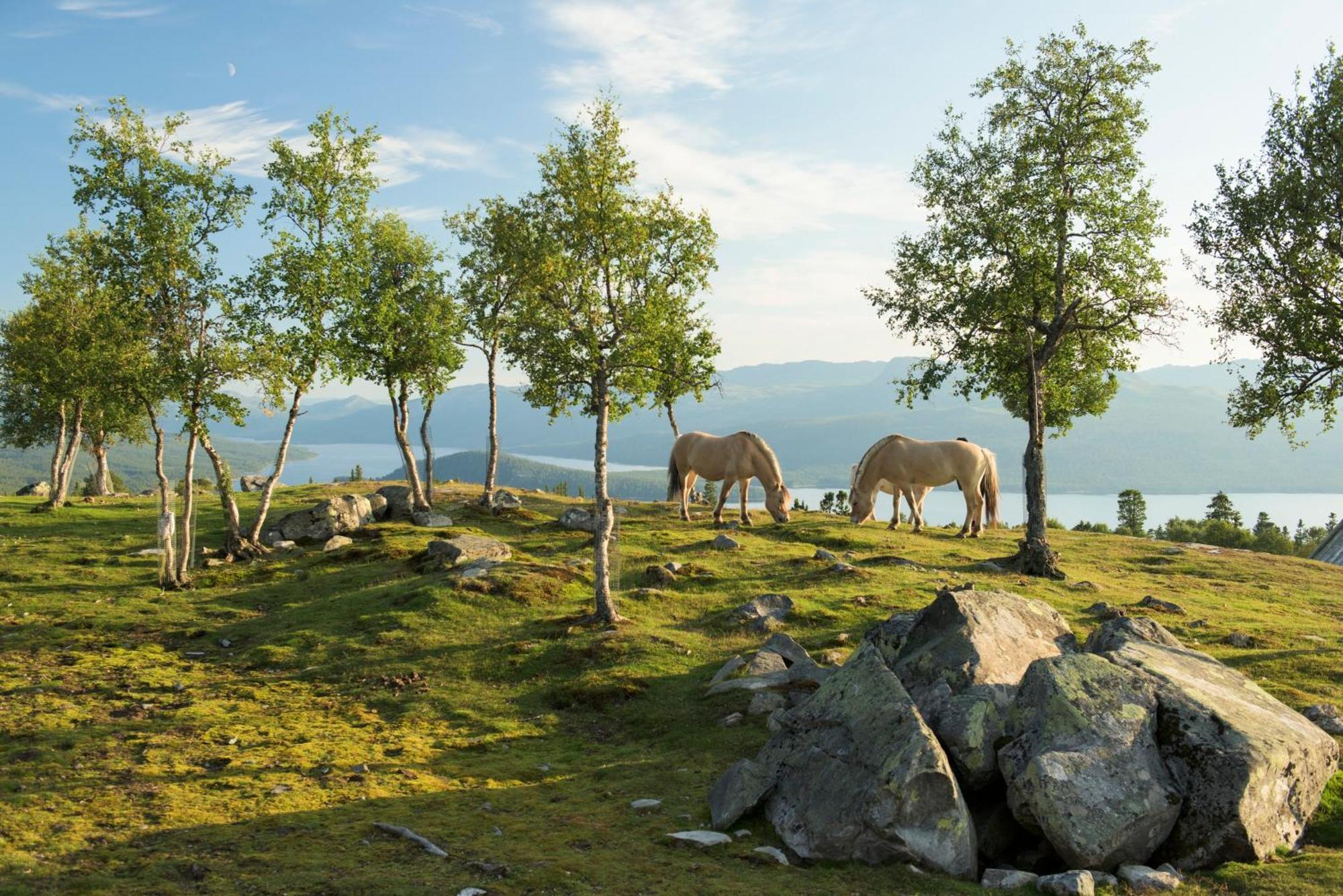 Langedrag Naturpark As Tunhovd Exteriér fotografie